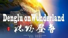 飞天小猪仔