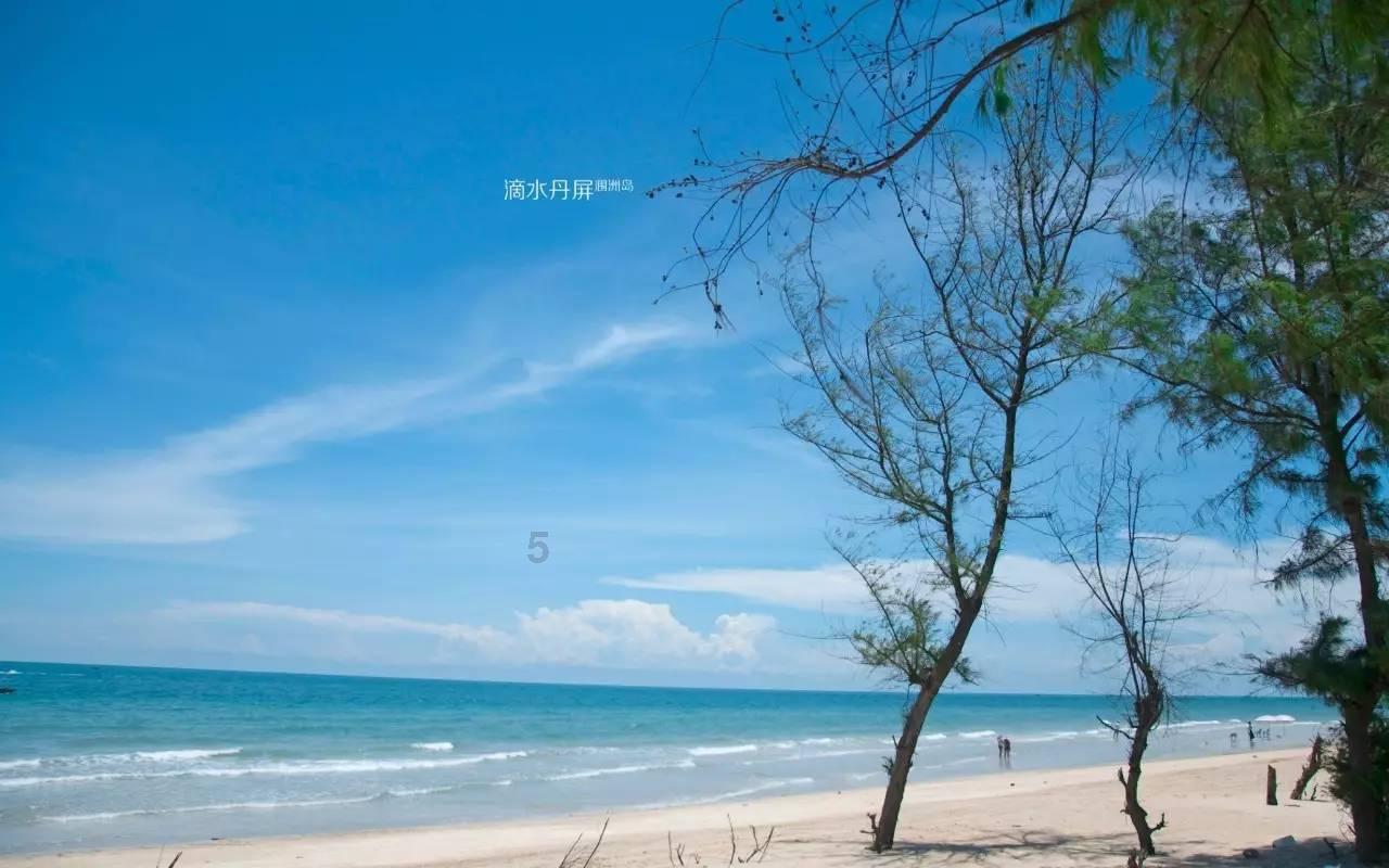 特战英雄