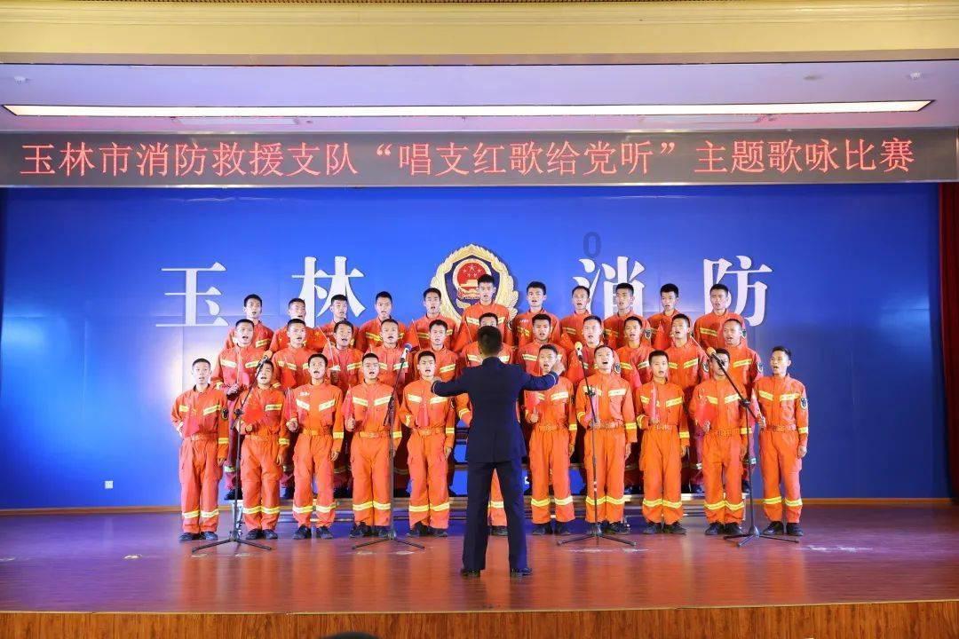 吃金币的猫